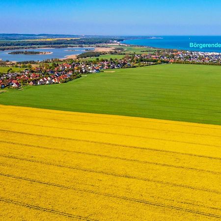 Villa Deichgraf 12 "Meerblick" Börgerende-Rethwisch Eksteriør bilde